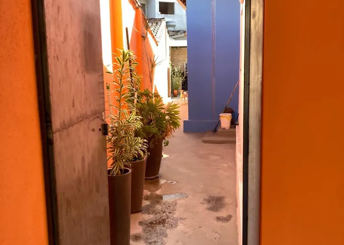 Hostel Miscelanea
